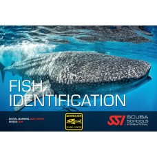 SSI kurs Identyfikacja Ryb